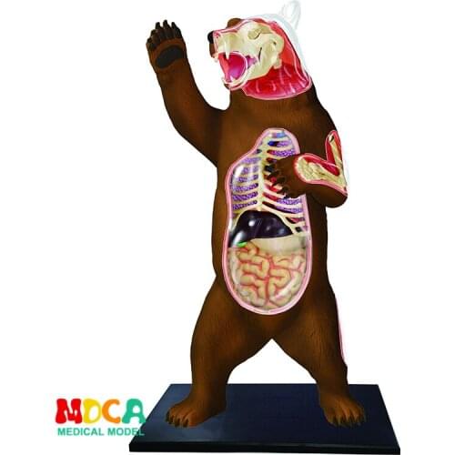 Mikidual Children's Puzzles