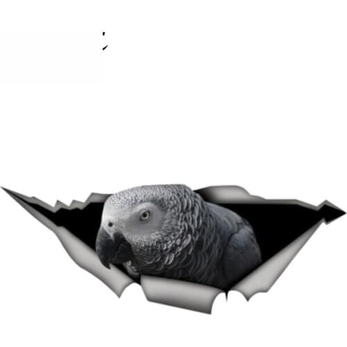 Dawasaru African Grey Parrot Funny Car Sticker Metal Aluminum Composite Sign Vinyl Car Styling Cute Pet Bird Decal 13cm X 5cm