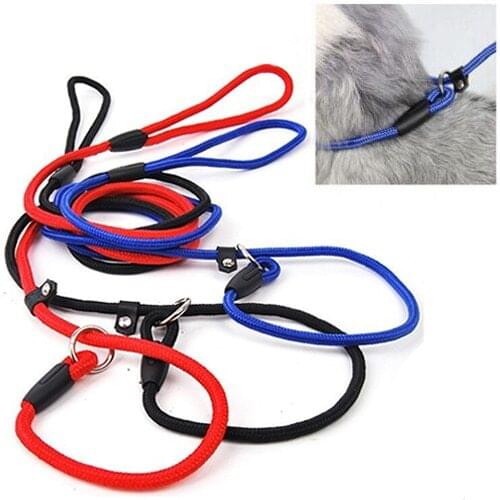 Sanwood Products For Dogs