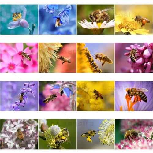 Bee and Flower Diamond Painting Handmade DIY Home Decoration Mosaic Sticker Diamond Embroidered Wall Art Picture Poster Gift