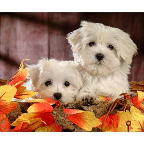 Full Square Drill 5D DIY Maple Maltese Dog diamond painting Cross Stitch 3D Embroidery rhinestone picture Home Decor C365