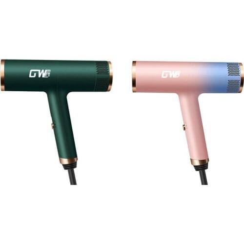 GW Professional Hair Dryer High Speed Hairdryer Temeperature Control Hot&Cold Wind Negative Blow Dryer EU Plug