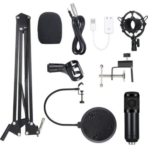 Professional BM 800 karaoke Microphone bm 800 Studio Microphone Lit Pro Adjustable Mic for Audio Studio Recording Microfone