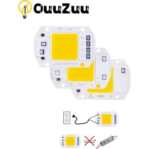 COB LED Lamp Chip AC 220V LED Bulb 10W 20W 30W 50W IP65 High Power Smart IC DIY Flood Light Bulb Spotlight Outdoor Chip Lamps