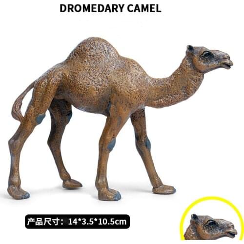 Simulated Dromedary Camel Figure Wild Animal PVC Camel Model Collection Toy For Kids Gift Decor Educational Teaching Figurine
