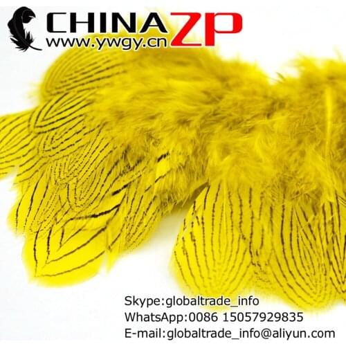 Wholesale in CHINAZP Factory 2000pcs/lot 8~10cm Length Top Quality Dyed Yellow Silver Pheasant Plumage Feathers