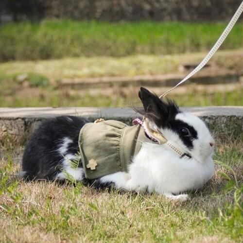 T84E Lovely Soft Small Animal Clothes Outdoor Traction Harness Pet Kitten Guinea-pig Suit with Cute Mini Hat Bag