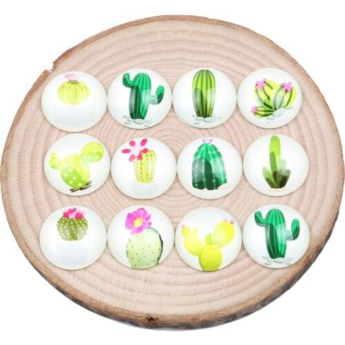 Reidgaller mix cactus photo round dome glass cabochon 12mm 20mm 25mm diy flat back jewelry accessories for pendants earrings