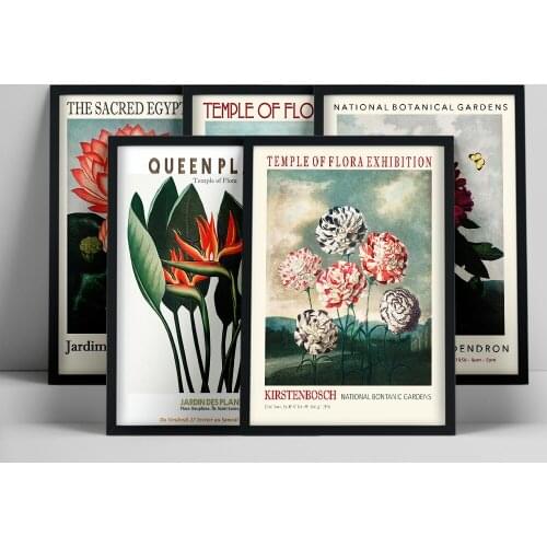 Nordic Modern Floral Natural World Lotus Peony Tulips Abstract Canvas Painting Wall Art Prints Living Room Decor Mosque Decor