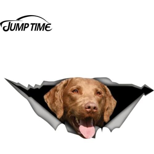 Jump Time 13cm x 5.3cm Chesapeake Bay retriever Sticker Torn Metal Decal Wild Animal Car Stickers Window Bumper 3D Car Styling