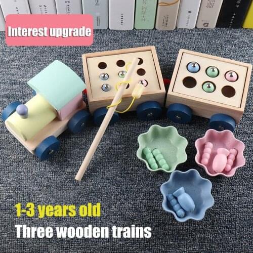 Montessori Early Education Toys For Kids Wooden Train Magnetic Fishing Catch Worm Game Baby Congnition Children Boy Girl Gifts