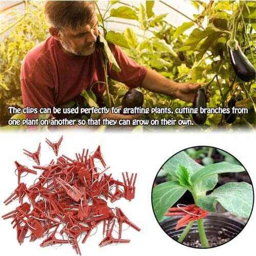 50PCS Vegetable Grafting Clip Household Vegetable Garden Fruit Grafting Clip Round Mouth Flat Eggplant Grafting Plastic Clip