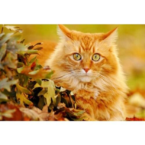 YIKEE diy 5d Diamond Painting Cats Handmade Needlework DIY Diamond Embroidery Mosaic Rhinestone Picture k584