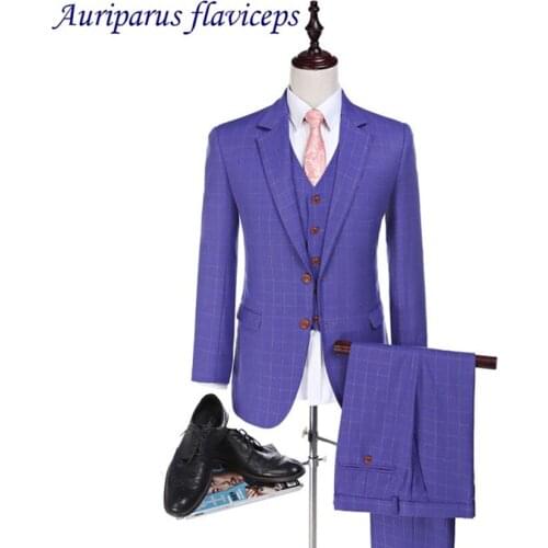 Auriparus flaviceps Check Groom Tuxedos Notched Lapel Groomsman Suit Purple Wedding Suit Checked Suits Custom Made Man Suits