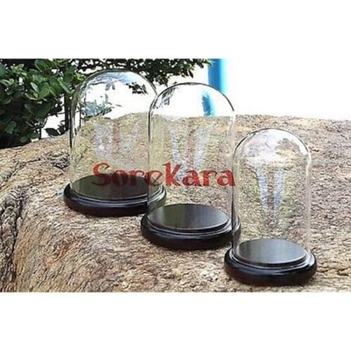 80x120mm Vintage Glass Dome Bell Jar With Dark Wooden Base Window Display Lab Use