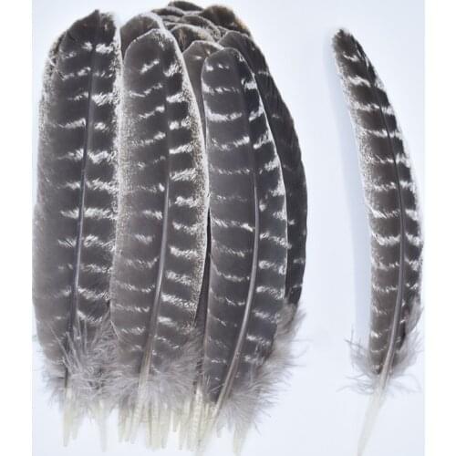 Real Natural Eagle Feathers 8-16"/20-40cm Eagle Bird Feathers for Crafts Feather Top Feathers Decoration Carnaval Assesoires DIY