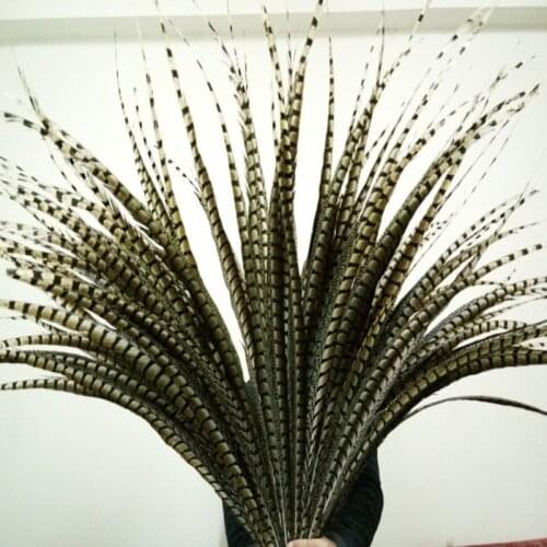 Wholesale 10pcs natural Lady Amhersts Pheasant feathers wedding Decoration 10-120cm/4-48inch Carnival Stage performance