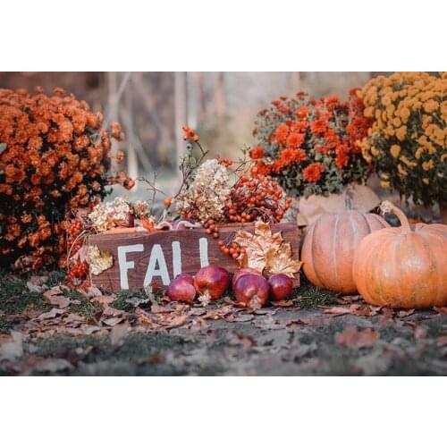 Halloween photography backgrounds vinyl Farmland Fall photo backdrops set for photographic studio accessories photophone HA-258