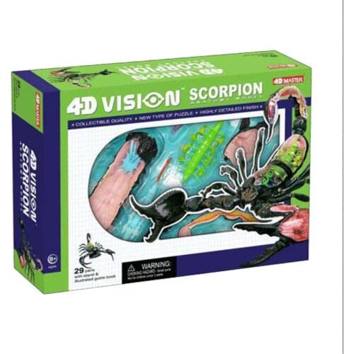 4D Master Vision Scorpion Model ANATOMY MODEL dissection skull brain anatomical Anatomy skeleton dental camera make up