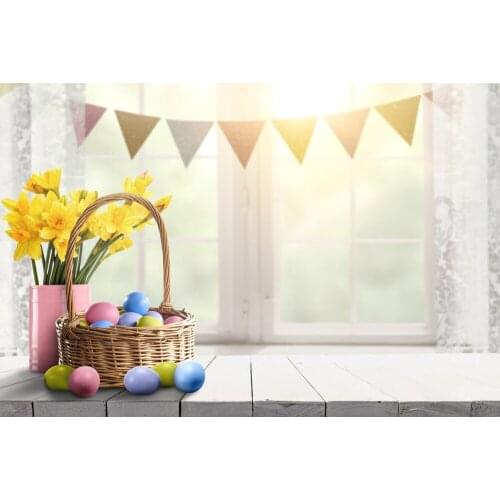 Pennant Sfondo Fotografico Compleanno Backgrounds Princess Backdrop E190127A05