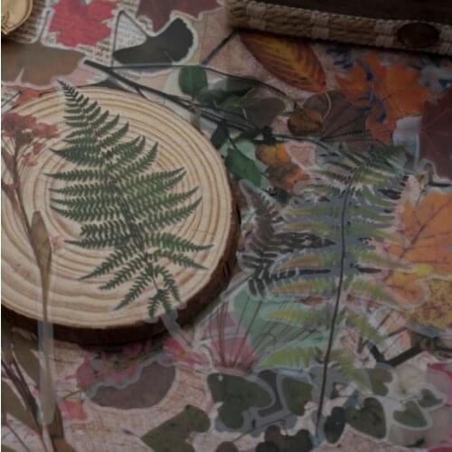 20 pcs/pack Retro Dry flower collection Series Decorative PET Stickers Scrapbooking Stick Label Diary Stationery Album