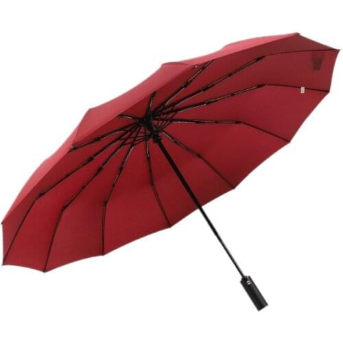 12 Ribs Handheld Folding Umbrella Windproof Compact Travel,Auto Open/Close Large Rain Umbrellas For Mens Women