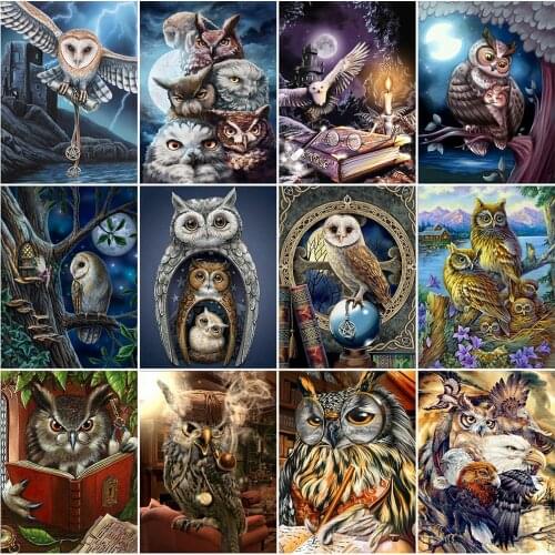 Evershine 5D Diamond Painting Full Drill Square Owl Diamond Embroidery Mosaic Animal DIY Cross Stitch Needlework Handicraft