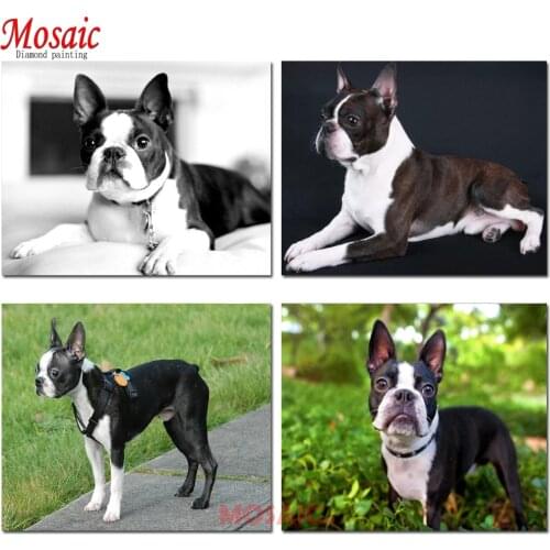 DIY Diamond Painting Cross Stitch Animal pet Boston Terrier Diamond Mosaic 5D Happy dog wall Painting for new year gift