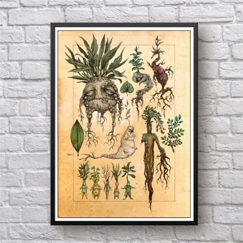 Harry Fan Art Illustration Mandrake Decor Canvas Painting Wall Picture , Cute Mandrake Plant Poster Print Kids Room Decor