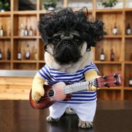 Pet Dog clothing Fashion T-shirt Rock Cosplay Costume Funny Guitarist Costume Transformed Clothing Wild-curl up Hairpiece DC805