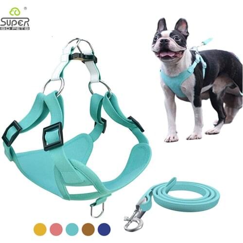 150CM Leash Durable Dog Harness And Leash Set Adjustable Soft Padded Easy Control Handle Puppy Pet Vest For All Dogs