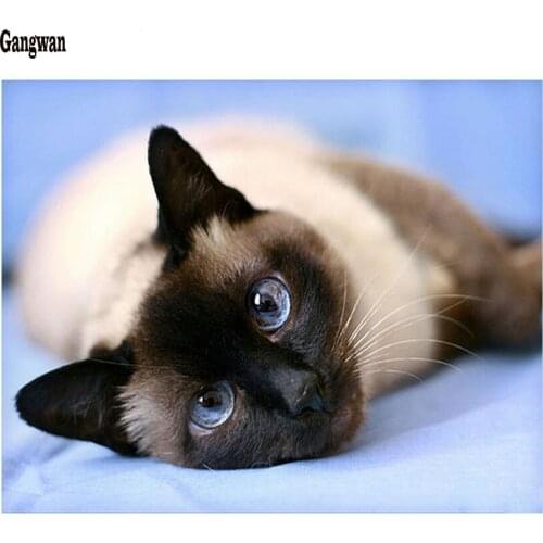 Full Square Round Diamond Embroidery cross Stitch Handicrafts Siamese cat room Decor diy 5D mosaic Diamond painting kitten icons