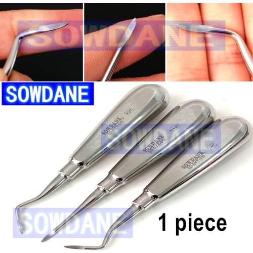 1 piece Dental Tooth Extraction Elvator Minimally Invasive Stainless Steel Dental Elevator Oral Tooth Loosening Root Extraction