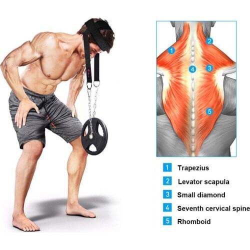 Gym Neck Muscles Builder Chain Equipment Exercise Trainer D Shackle Resilient Weight Lifting Adjustable Strength Head Harness