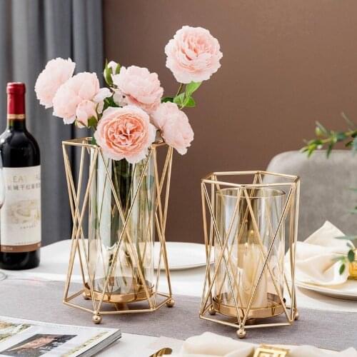 Nordic Golden Glass Vase Hydroponic Plant Flower Vase Iron Geometric Metal Plant Holder Modern Living Room Interior Home Decor