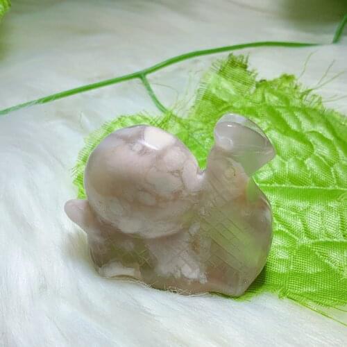 Flower agate snail 2389