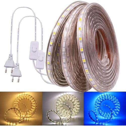 220V 5050 LED Strip Waterproof Outdoor Decoration 60LEDs/m Flexible Ribbon Tape LED Strip + Switch Plug