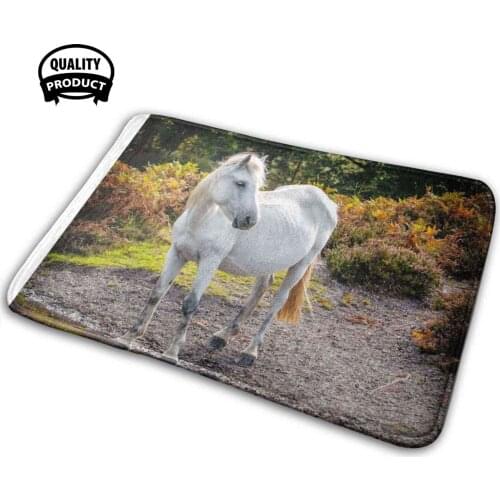 Horse Magic In Reflection Soft Interesting Room Goods Rug Carpet Horse New Forest Animal Nature Mammal Transport Hooves