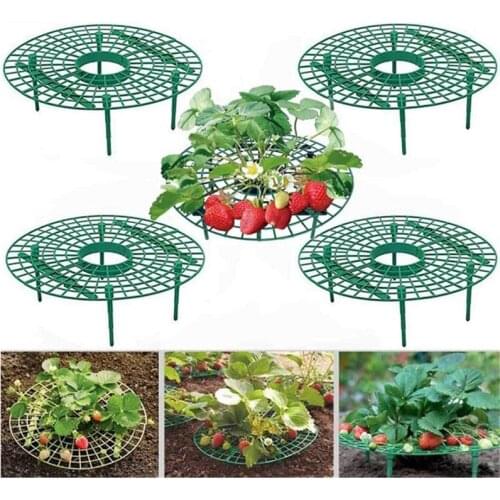 5/10/20pcs Strawberry Supports Gardening Stand Holder Balcony Planting Racks Fruit Support Climbing Vine Pillar Garden Stand
