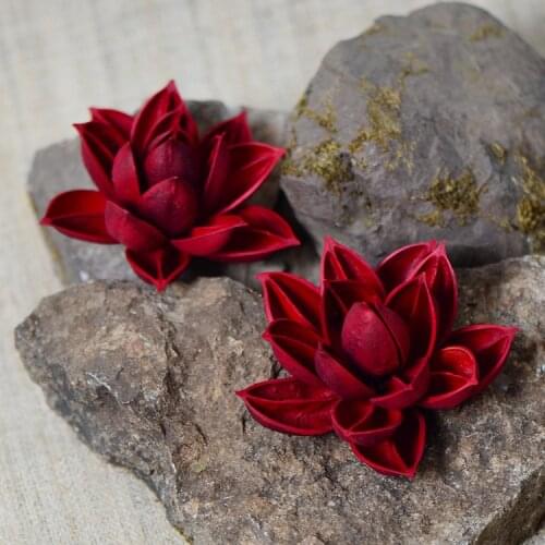 5pcs/lot,Natural Craft Dried Water Lily flowers,Display Eternal Flowers head/Bunch for Wedding Party home Decoration accessories