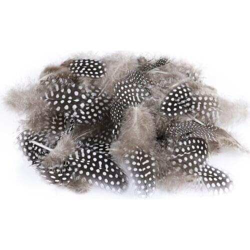 Guinea Fowl Spotted Chicken Feather 5-10 CM Decoration for Party Wedding Clothes Diy Jewelry Accessory Crafts Plumes 50 Pcs/Pack