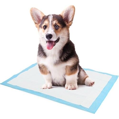 Super Absorbent Pet Diaper Dog Training Pee Pads Disposable Healthy Nappy Mat For Cats Dog Diapers Cage Mat Pet Supplies