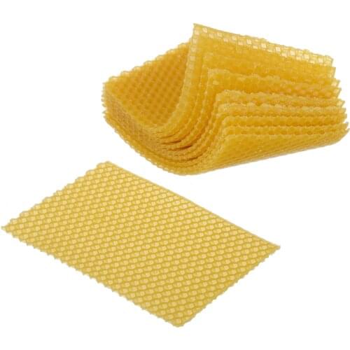 10Pcs Beekeeping Honeycomb Foundation Wax Frames Honey Hive Equipment Tool Bee Beehive Nest Beekeeping Tool