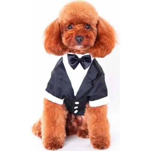 DCPET T-shirts For Dogs