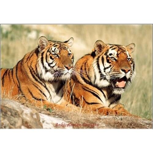 Embroidery Counted Cross Stitch Kits Needlework - Crafts 14 ct DMC DIY Arts Handmade Decor - Two Tigers