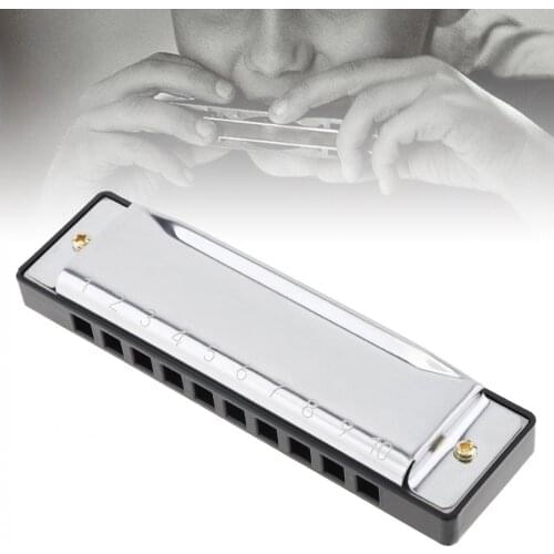 10 Holes Stainless Steel Blues Harmonica Musical Instrument Mouth Organ Educational Toy for Children