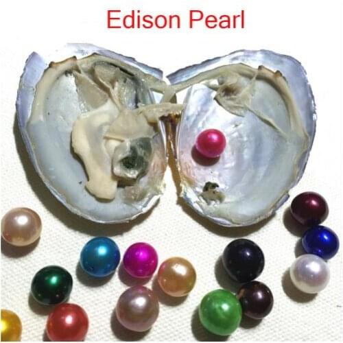 2019 Wish Pearl Jewelry AAA 9-12mm Colored Round Edison Pearl Oysters with Vacuum-packed Single Edison Pearl Oyster FP004