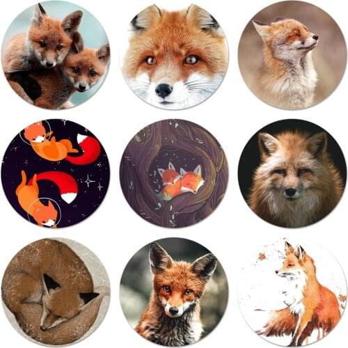 58mm Anime fox funny foxs lovely cute Badge Brooch Pin Accessories For Clothes Backpack Decoration gift