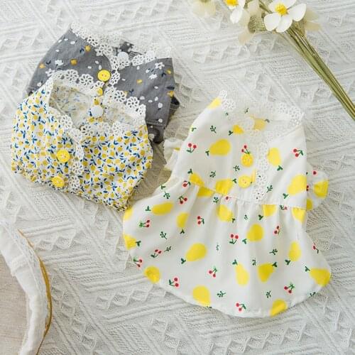 Pet Summer Floral Bow Dog Dress Cat Clothes Fresh Puff Sleeve Cute Skirt With White Lace Outing Skirt Pet Clothing for Puppy