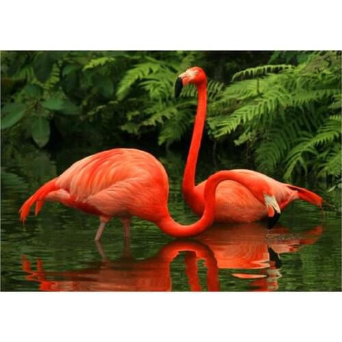 Flamingos,5d diy Diamond embroidery cross stitch Square/round diamond sets handmade wall picture for living diamond painting